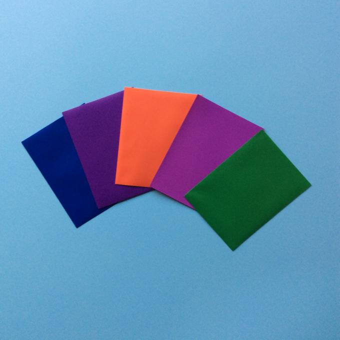 Προσαρμοσμένος υψηλός - η ποιότητα ζωηρόχρωμα μπροστινά σαφή PP χρωματίζει πίσω τα παγωμένα μικρά πλαστικά μανίκια καρτών